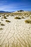 Wallmonkeys Peel and Stick Wall Decals - Dry and Cracked Mud Flats in Death Valley National Park - Removable Graphic