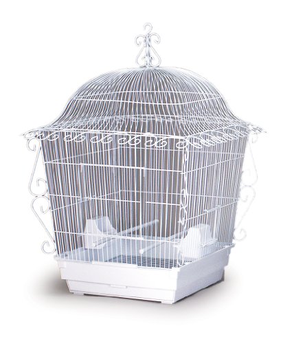 Prevue Pet Products Jumbo Scrollwork Bird Cage 220W White, 18-Inch by 18-Inch by 25-Inch