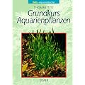 Grundkurs Aquarienpflanzen