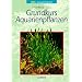 Grundkurs Aquarienpflanzen