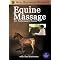The Best Massage DVDs