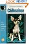 Guide to Owning a Chihuahua (Re Dog)