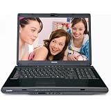 Toshiba Satellite L355-S7902 17.0-Inch Laptop