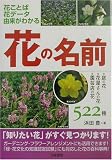 花の名前―庭の花・花屋さんの花・園芸店の花522種
