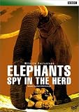 BBC WILDLIFE EXCLUSIVES Elephants Spy in the Herd エレファント・プライベート