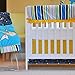 Pam Grace Creations Rockstar Mix & Match 10 Piece Crib Bedding Set