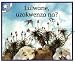 Book Lulwane, Uzokwenza Na? (Children's Stories)