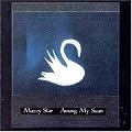 Among My Swan