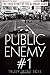 Public Enemy Number One: The True Story of the Brady Gang