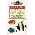 Coral Reef Fishes: Indo-Pacific and Caribbean (Collins Pocket Guide) by  Ewald Lieske and Robert Myers
