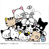 うちのタマ知りませんか? 20周年プレミアムDVD-BOX