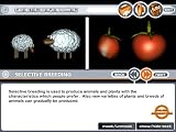 Birchfield Genetics Educational Software - 3 CD Set; MS Windows and Apple Macintoch compatible. Biology topics include: Cells, Inheritance, Mutation and Inherited Diseases, Genetic Engineering and Variation. Ideal for science class teaching, group projects or individual study. Includes digital media library and assessment tools. Highly compatible with interactive whiteboards.