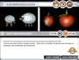 Birchfield Genetics Educational Software - 3 CD Set; MS Windows and Apple Macintoch compatible. Biology topics include: Cells, Inheritance, Mutation and Inherited Diseases, Genetic Engineering and Variation. Ideal for science class teaching, group projects or individual study. Includes digital media library and assessment tools. Highly compatible with interactive whiteboards.