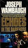 Echoes in the Darkness