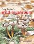 Peter Jordan's Wild Mushroom Bible