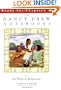 Big Worry in Wonderland (Nancy Drew Notebooks #52)