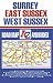 Surrey, E Sussex and W Sussex Road Map (A-Z Road Maps & Atlases)