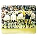 Celtic F.C. Official Mouse Mat 'Huddle'.