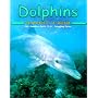 Dolphins (Pebble Books)