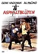 Asphaltbl�ten