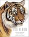 Book Zoo Album