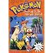 Journey to the Orange Islands (Pokemon Chapter Book #9)