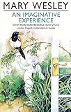 An imaginative experience