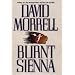 Burnt Sienna
