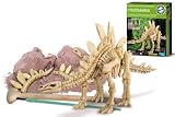 Kidzlabs - Dig A Stegosaurus Skeleton