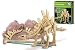 4M Dig-a-Dino Skeleton a Stegosaurus