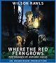 Where the Red Fern Grows