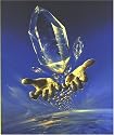 Phonomenal Crystals: Giant Quartz Crystals - Unique Minerals in World Museums - Gem Treasures of Brazil