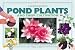 Pond
Plants
and
Cultivation:
A
Practical
Guide
(Pondmaster)