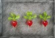 Three Red Radishes
