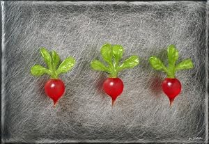 Three Red Radishes