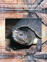 Schlammschildkröten