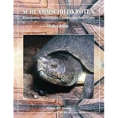 Schlammschildkr�ten