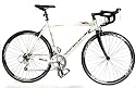 Viking 2010 Torino Gents 16 Speed Road Bike, Cabon Fibre Forks, 53cm Frame