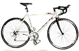 Viking 2010 Torino Gents 16 Speed Road Bike, Cabon Fibre Forks, 56cm Frame