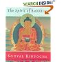 The Spirit of Buddhism: The Future of Dharma in the West