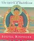 The Spirit of Buddhism: The Future of Dharma in the West