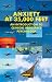 Books : Anxiety at 35,000 Feet: An Introduction to Clinical Aerospace Psychology (Forensic Psychotherapy Monograph Series)