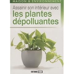 Assainir son int�rieur avec les plantes d�polluantes