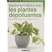 Assainir son int�rieur avec les plantes d�polluantes