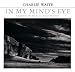 In My Mind's Eye: Seeing in Black and White