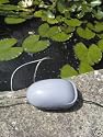 Solar powered oxygenator pump