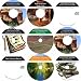The Extreme 9 Audio CD No Money Down, Millionaire Making Real Estate Mentoring System