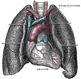 Mesothelioma Information 51H9oG9bD0L. SL160 Mesothelioma Information