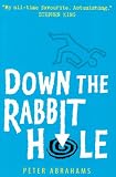 Down the Rabbit Hole: An Echo Falls Mystery (Echo Falls)