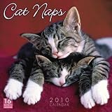 Cat Naps 2010 Wall Calendar